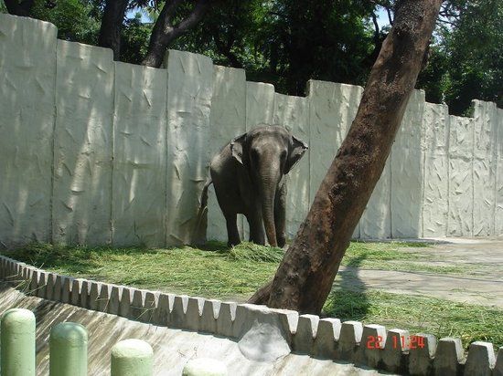 Manila zoologiske hage